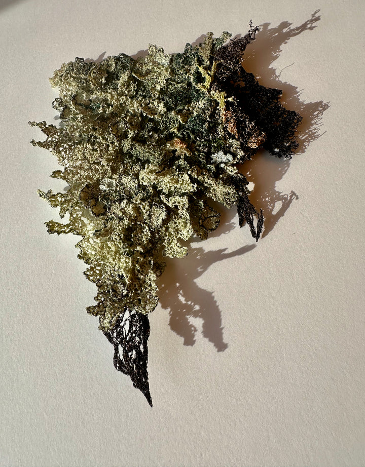 Layers of Lichen 3D Thread Sculpture.