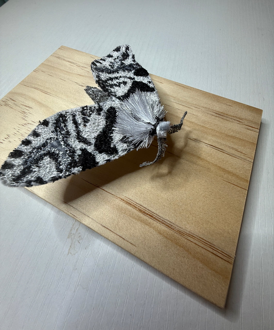 Lichen Moth 3D Thread Sculpture.