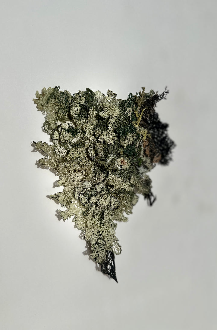 Layers of Lichen 3D Thread Sculpture.