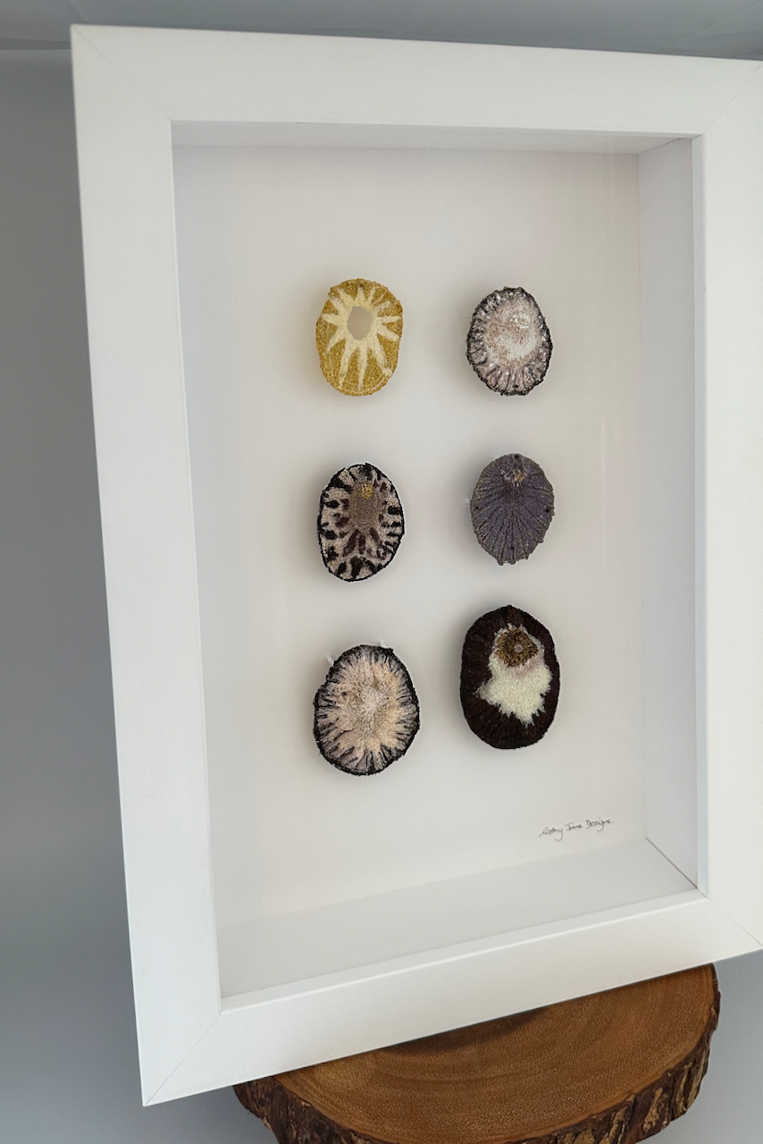 Limpet Shell sculptural embroidery.