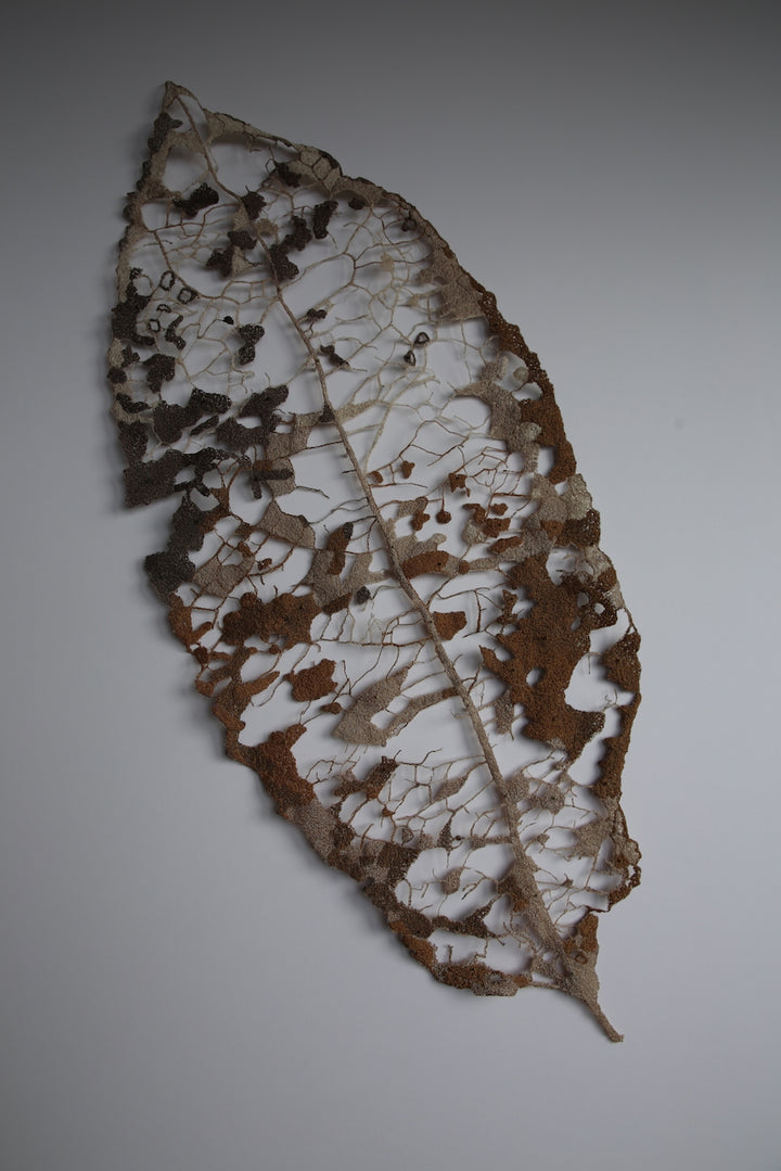 Large Māhoe Leaf skeleton. 3D Thread Sculpture #3.