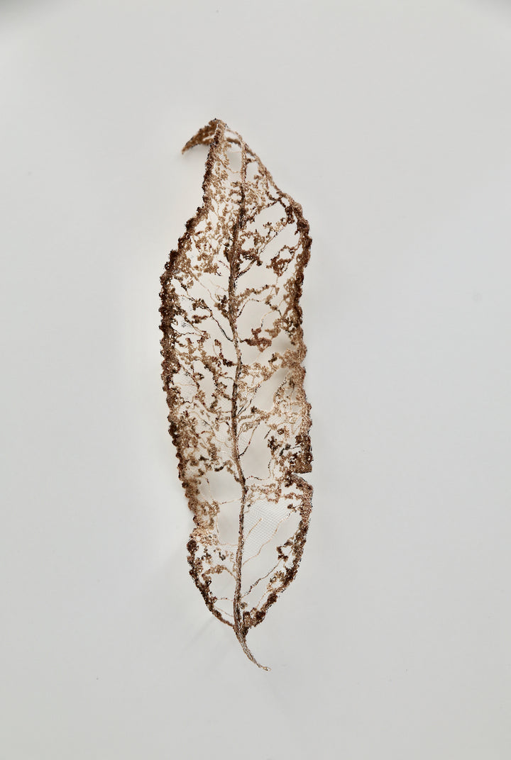 Māhoe Leaf 3D Thread Sculpture #3