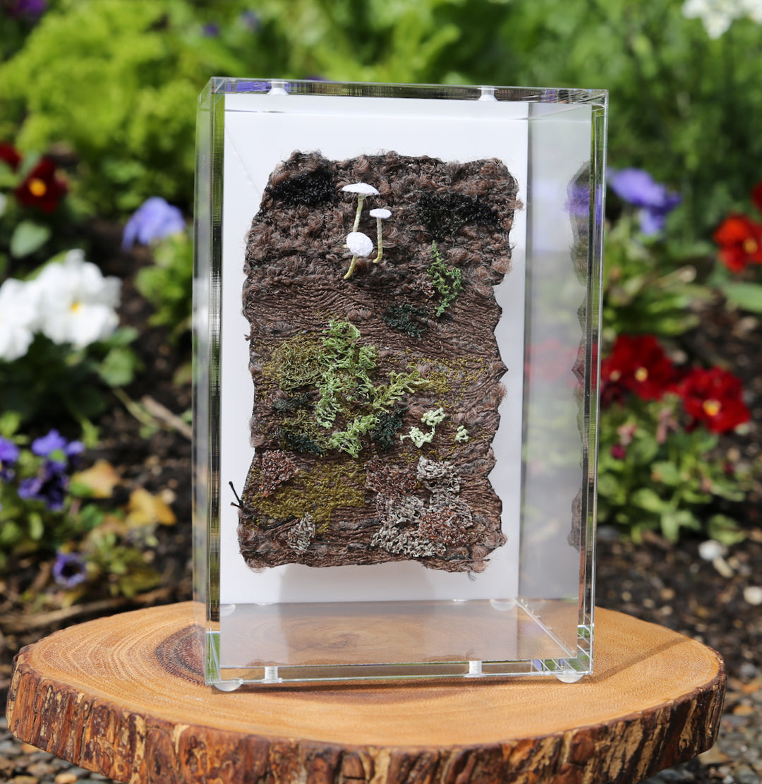 Mycena fungi on bark 3D Thread Sculpture.
