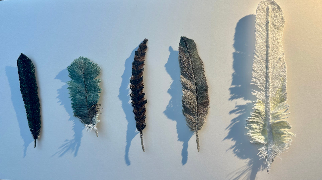 NZ bird feathers 3D Thread Sculpture.