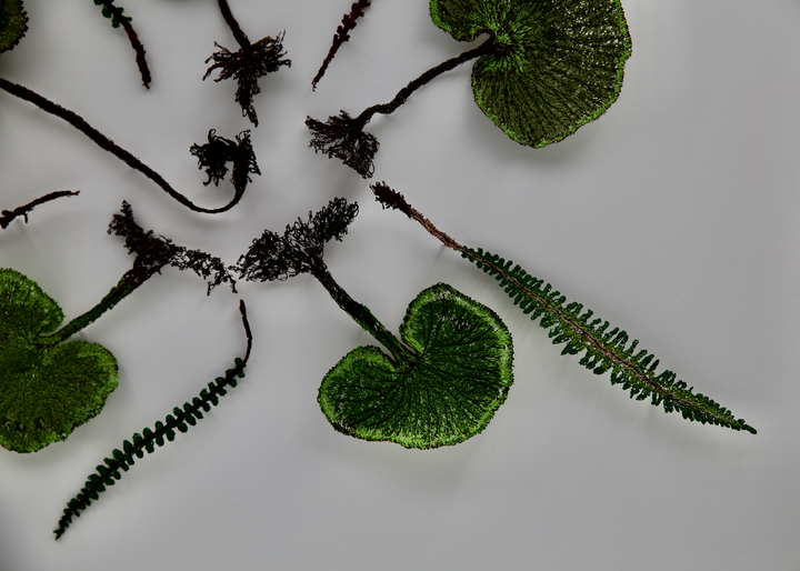 New Zealand Ferns 3D Thread Sculpture.