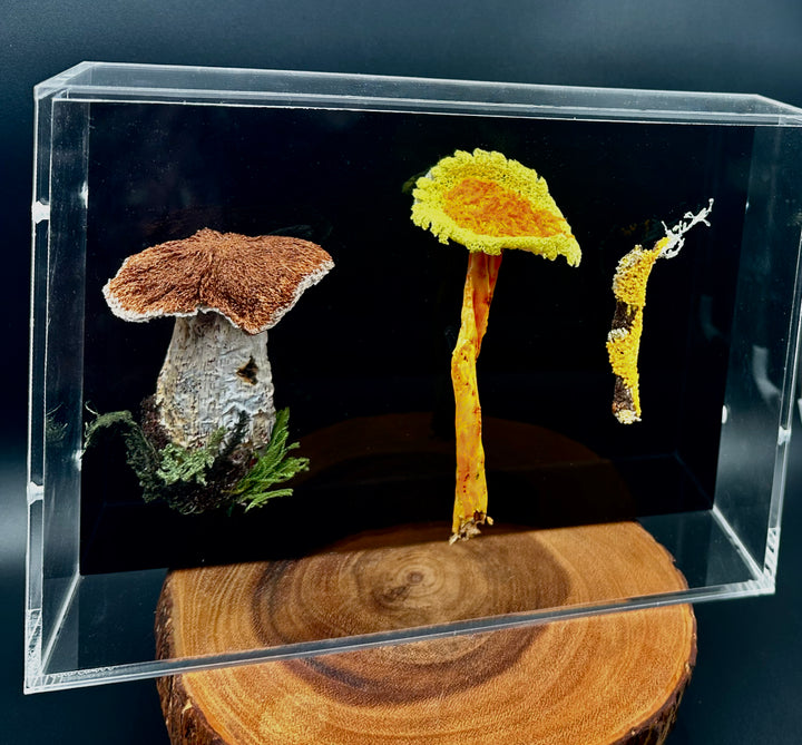 Fungi of New Zealand 3D Thread Sculpture #4.