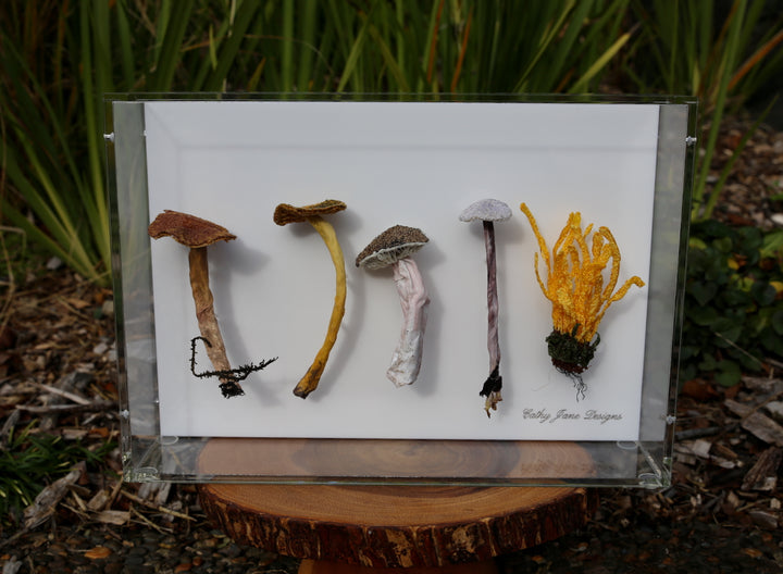 Fungi of New Zealand 3D Thread Sculpture #5.