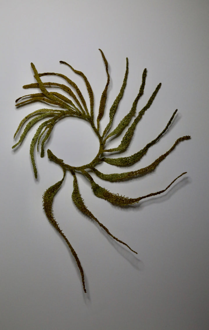 NZ Bladder Kelp seaweed 3D Thread Sculpture.