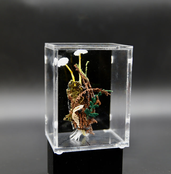 NZ Mycena fungi 3D Thread Sculpture. #2