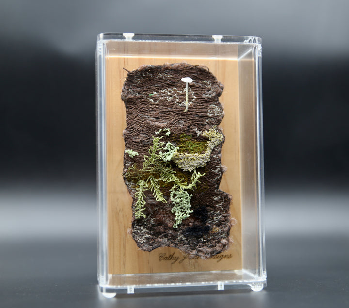 NZ Mycena fungi on bark 3D Thread Sculpture. #2.