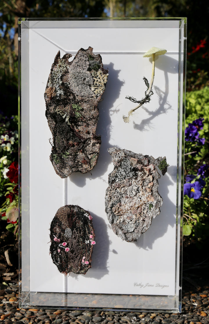 NZ Bark & fungi species. 3D Thread Sculpture.
