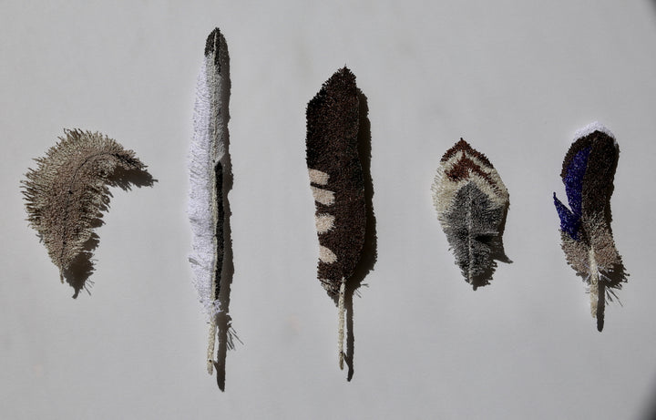 NZ bird feathers 3D Thread Sculpture. #7.