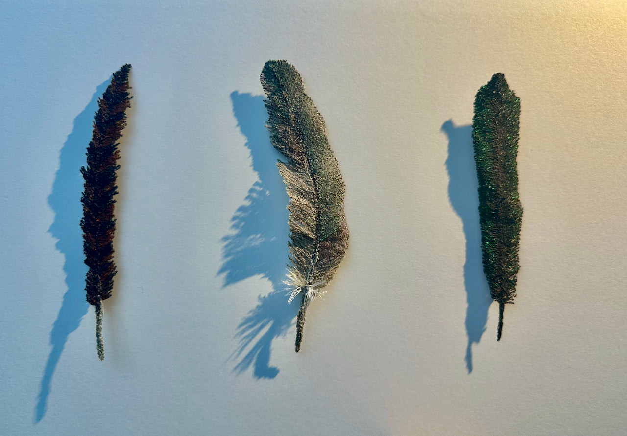 NZ bird feathers 3D Thread Sculpture. #2.