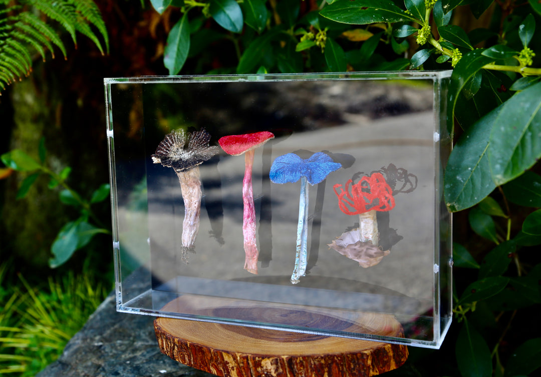 NZ fungi 3D Thread Sculpture.