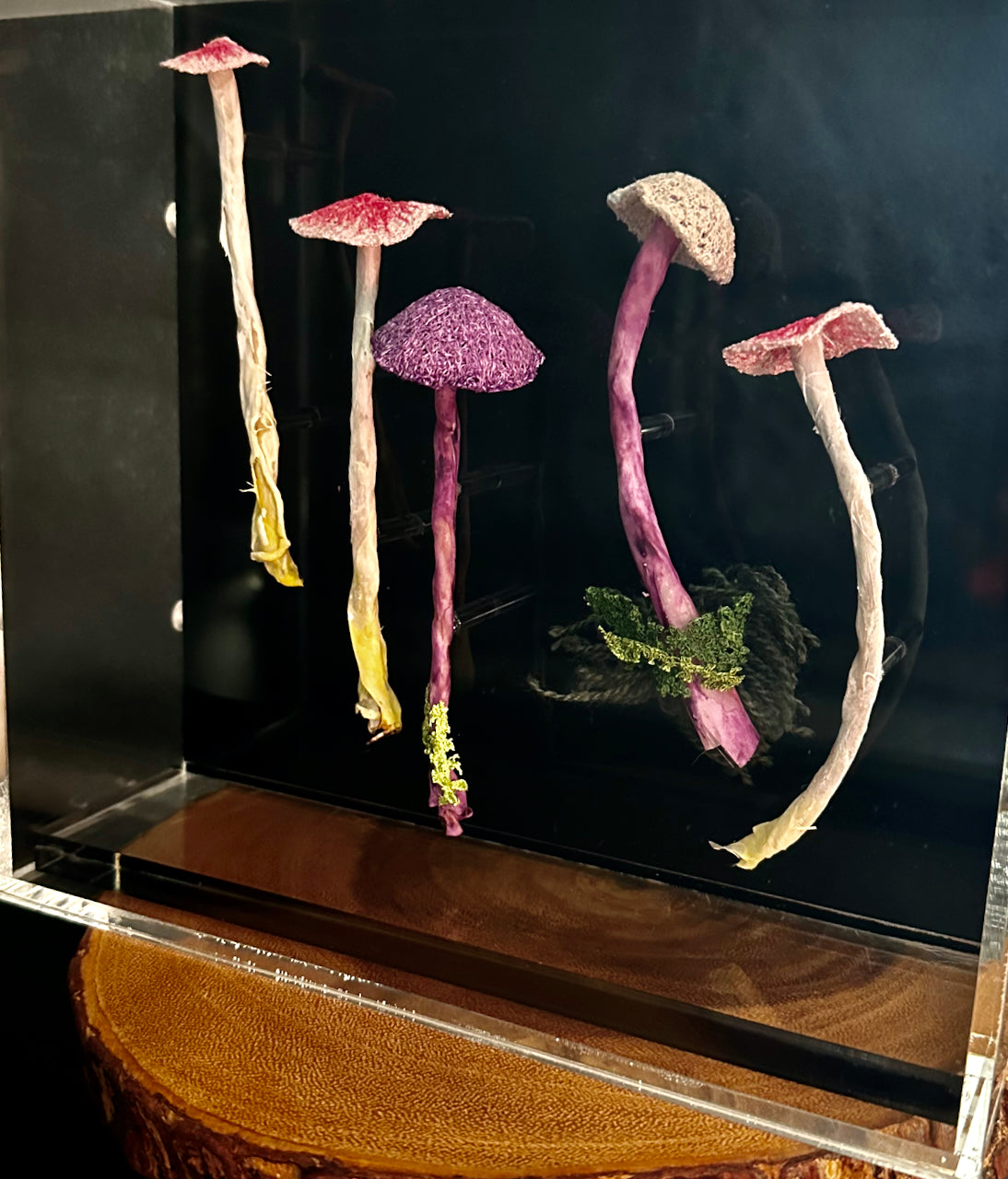 Fungi of New Zealand #4  3D sculpture.