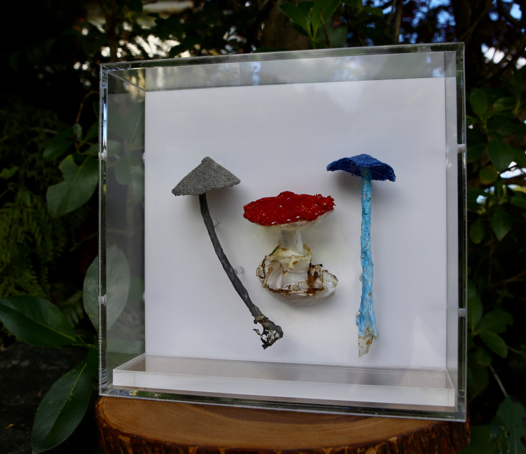 Fungi of New Zealand #4 3D Thread Sculpture.