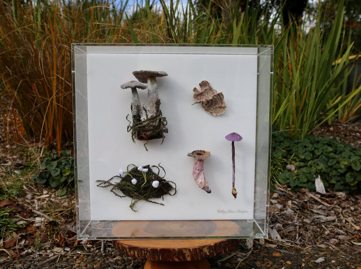 Fungi of New Zealand 3D Thread Sculpture #8.
