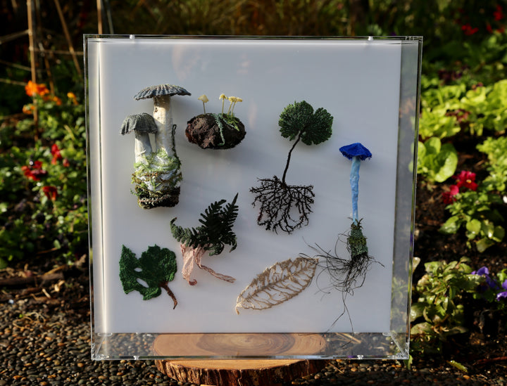 Fungi & ferns of New Zealand 3D Thread Sculpture. (commission)