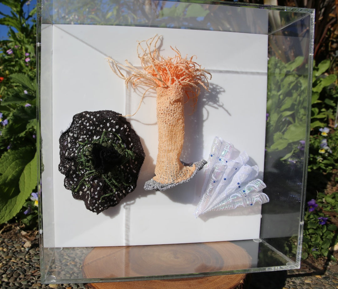 NZ Under the Sea 3d thread sculpture. #2
