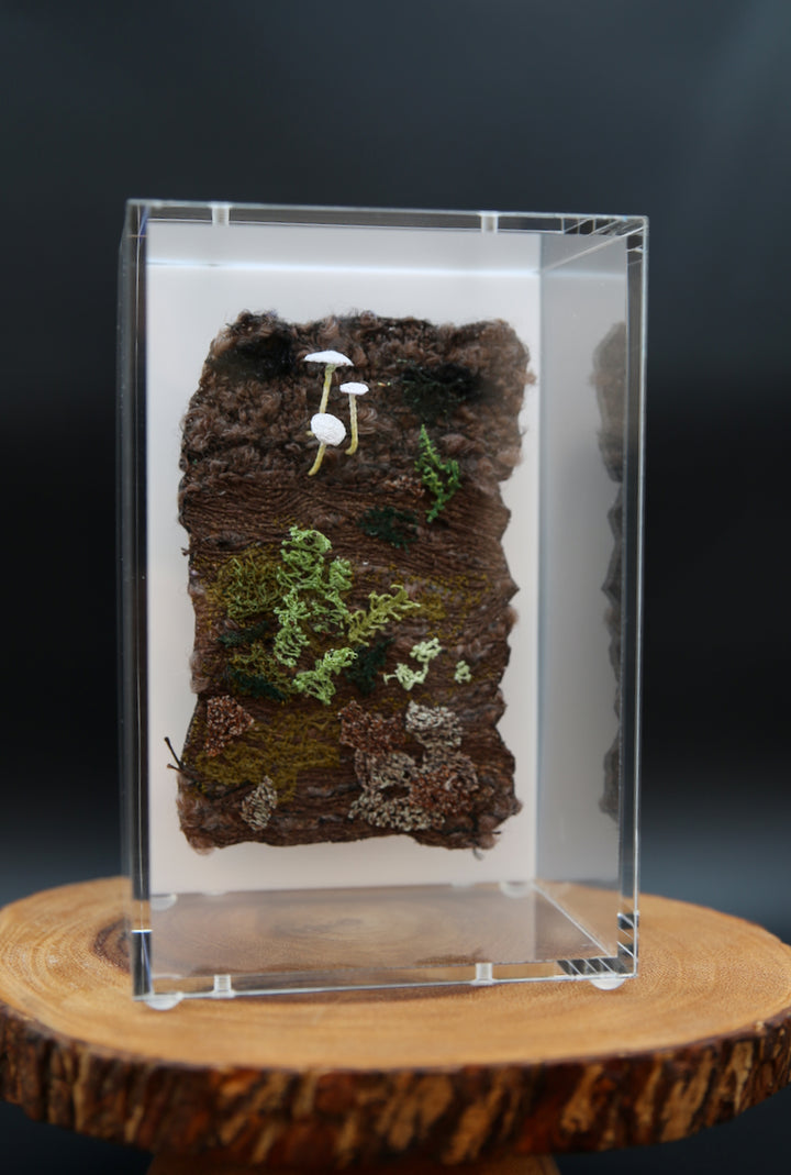 Mycena fungi on bark 3D Thread Sculpture.