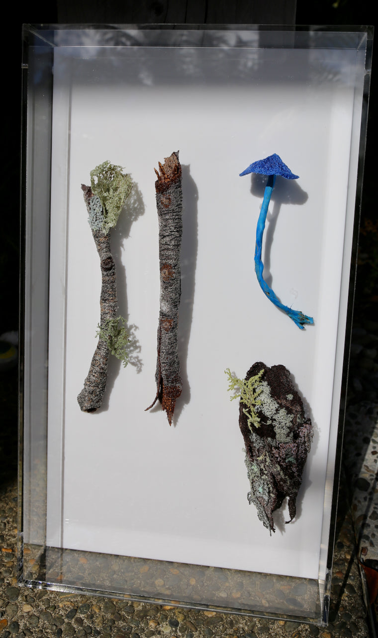 Native branchlets and fungi 3D Thread Sculpture.