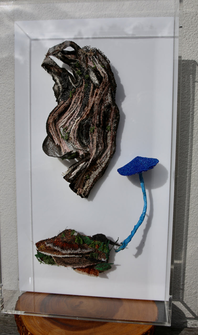 Northern Rata driftwood and fungi 3D Thread Sculpture.