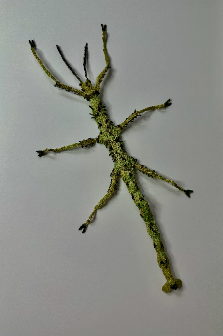 Chevrons Insect Prickly stick insect 3D Thread Sculpture. – Cathy Jane Designs