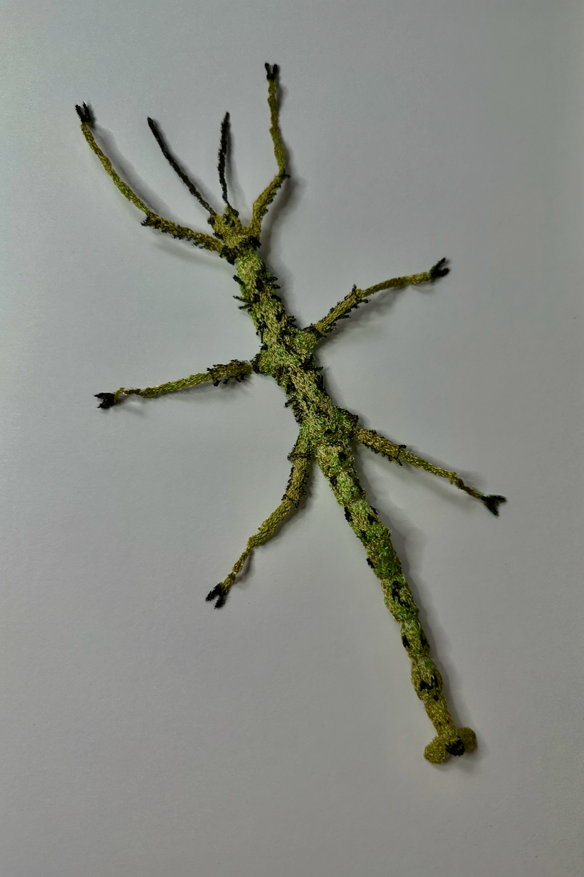 Prickly stick insect 3D Thread Sculpture.