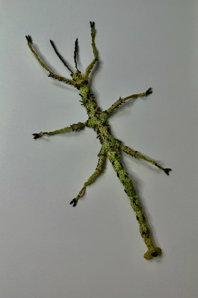 Prickly stick insect sculptural embroidery.