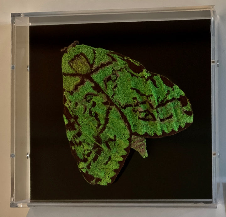 Puriri Moth 3D Thread Sculpture #2.