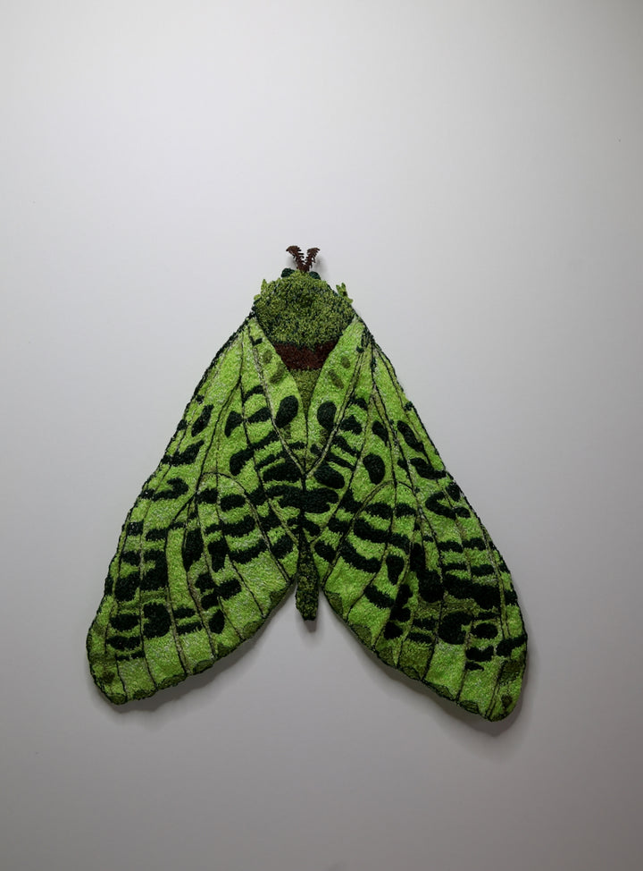 Puriri Moth 3D Thread Sculpture #3.