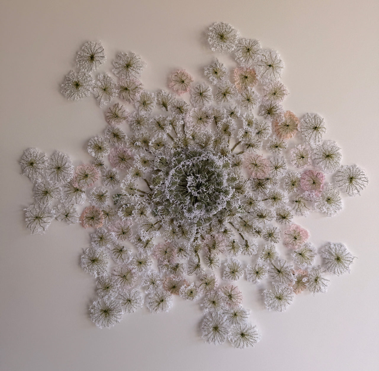 Queen Anne's lace #4. 3D Thread Sculpture.