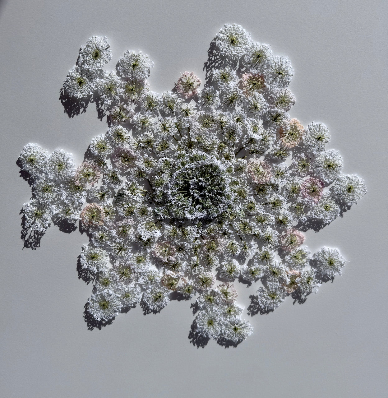 Queen Anne's lace #4. 3D Thread Sculpture.