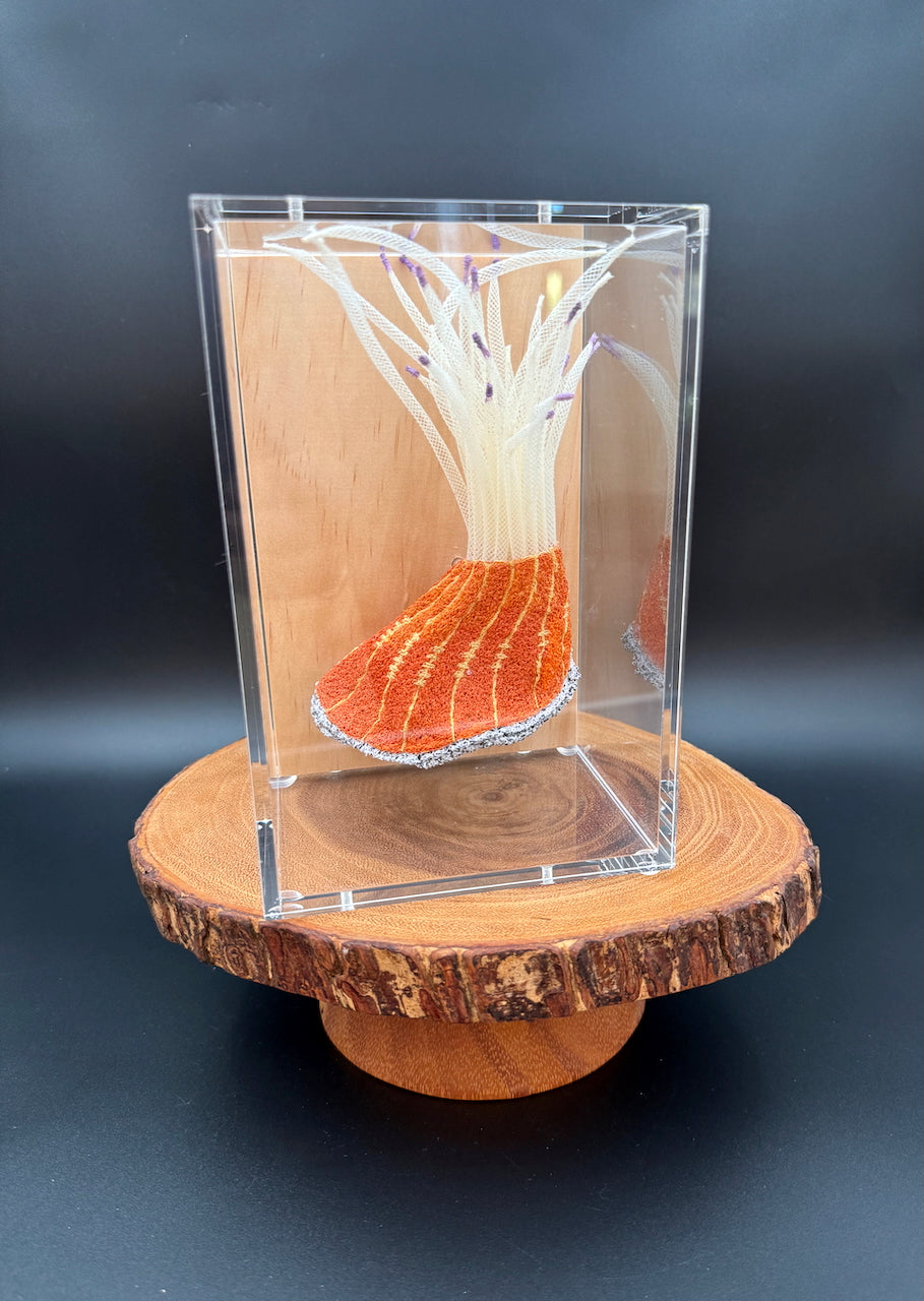 Red-striped sea anemone 3d thread sculpture.