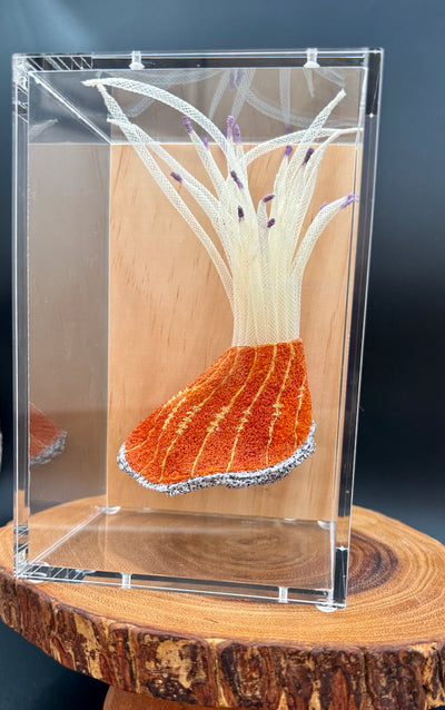 Red-striped sea anemone 3d thread sculpture.