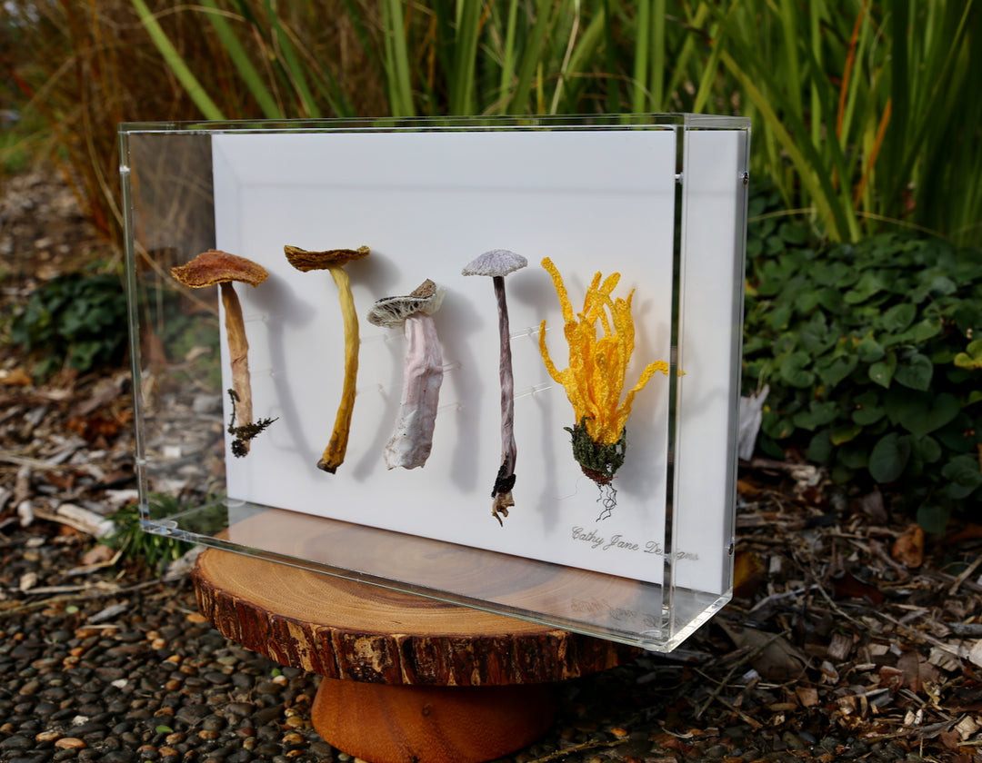 Fungi of New Zealand 3D Thread Sculpture #5.