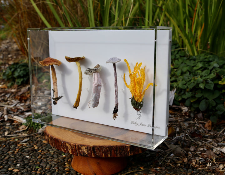 Fungi of New Zealand 3D Thread Sculpture #5.