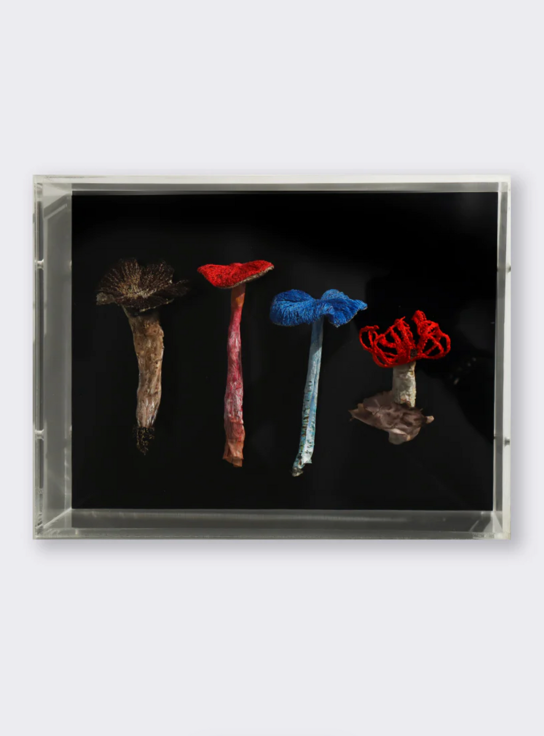 NZ fungi 3D Thread Sculpture.