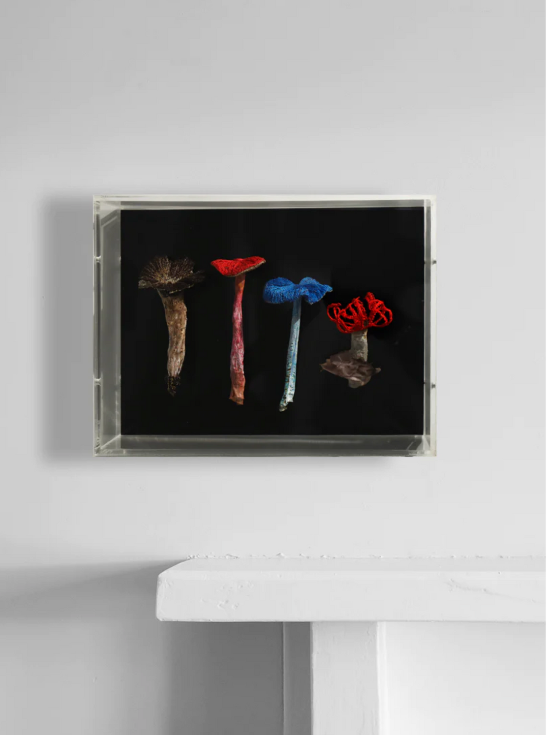 NZ fungi 3D Thread Sculpture.
