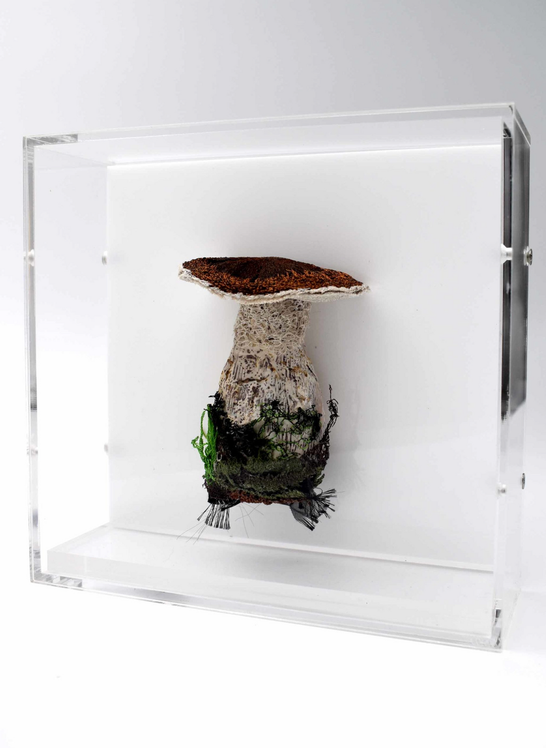 Birch Bolete fungi  3D Thread Sculpture.