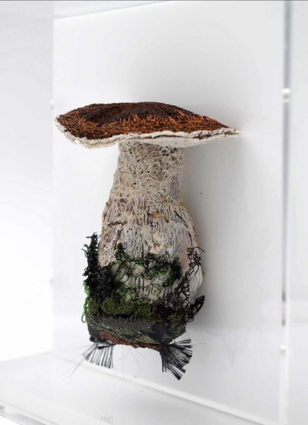 Birch Bolete fungi  3D Thread Sculpture.