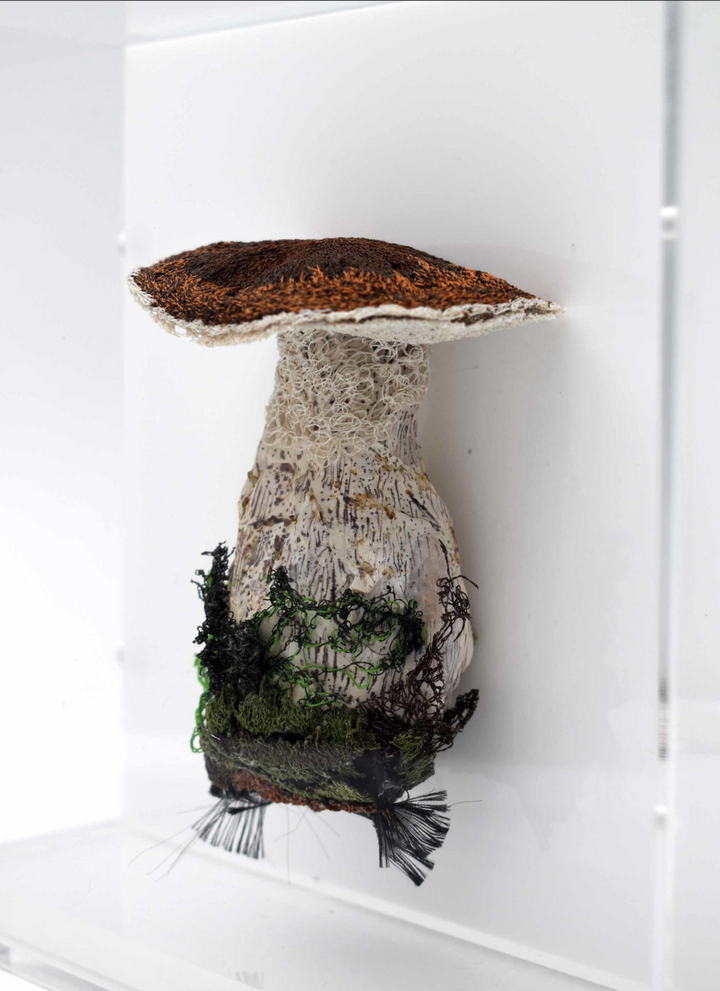 Birch Bolete fungi  3D Thread Sculpture.