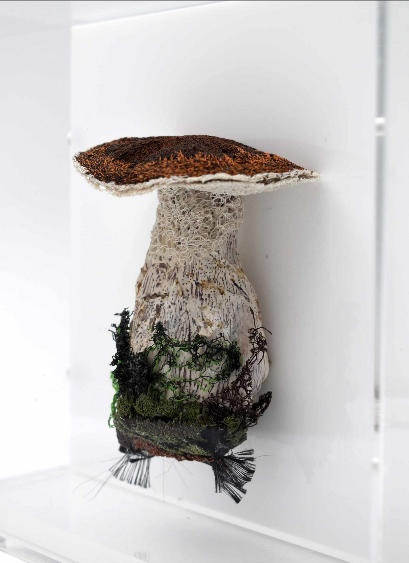 Birch Bolete fungi  3D sculpture.