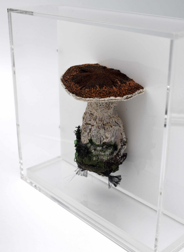 Birch Bolete fungi  3D Thread Sculpture.