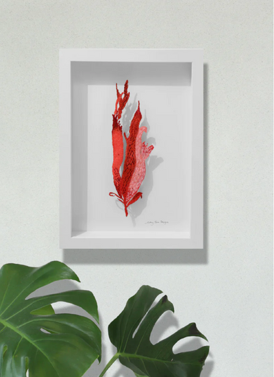 New Zealand pink seaweed sculptural embroidery