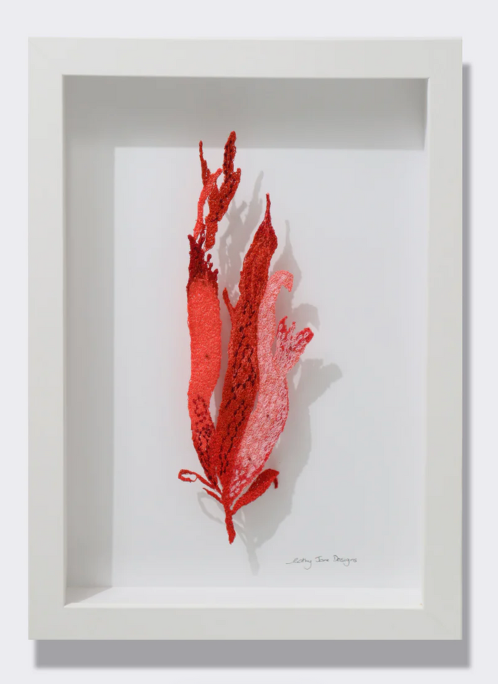 New Zealand pink seaweed 3D Thread Sculpture.