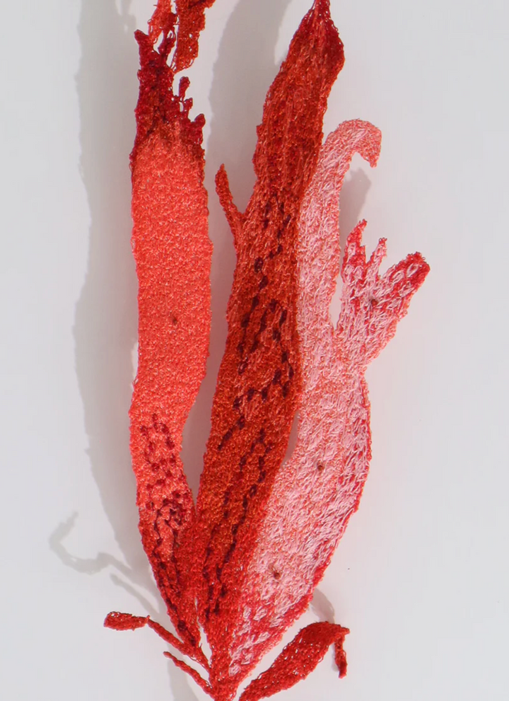 New Zealand pink seaweed 3D Thread Sculpture.