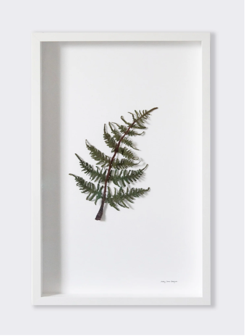 Bracken Fern Leaf 3D Thread Sculpture #2. (large)