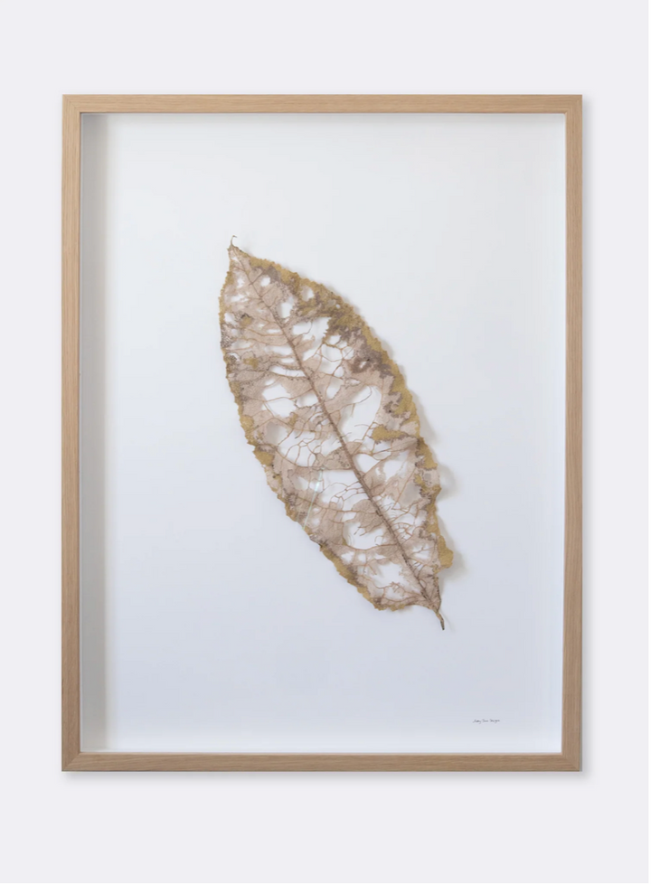 Large Māhoe Leaf skeleton. 3D Thread Sculpture #2.