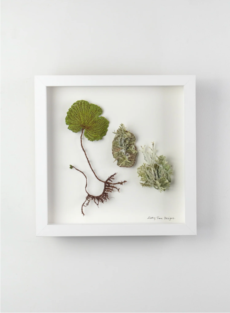 NZ Kidney Fern and Lichens 3D Thread Sculpture.